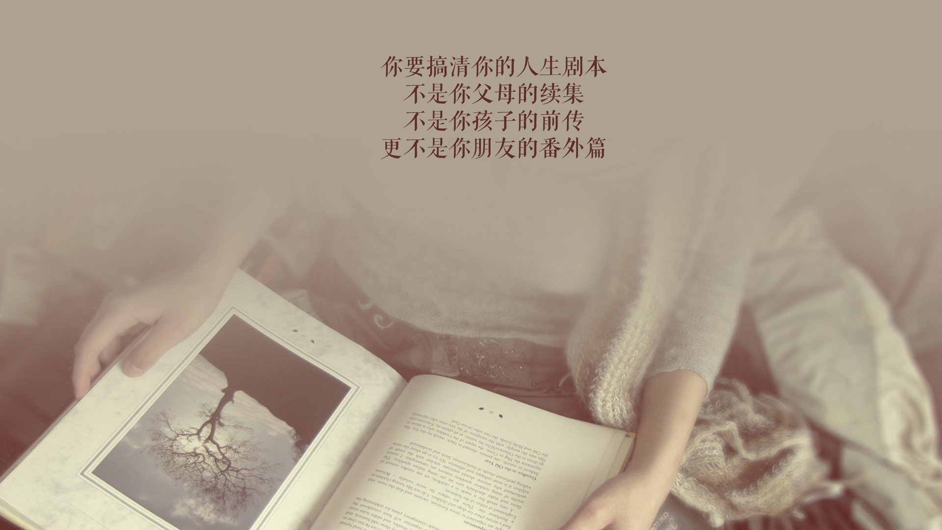 球迷风采：粉丝的热情应援点燃赛场，球迷粉丝怎么称呼好听