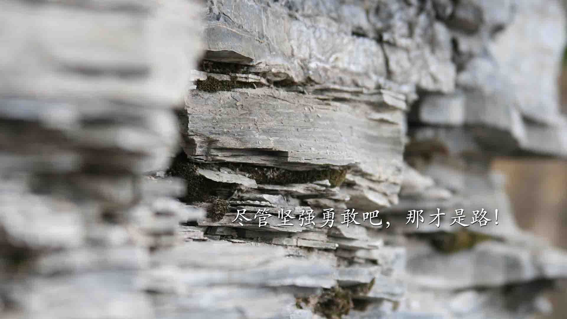 水球比赛韩国防守反击有序,2020水球比赛