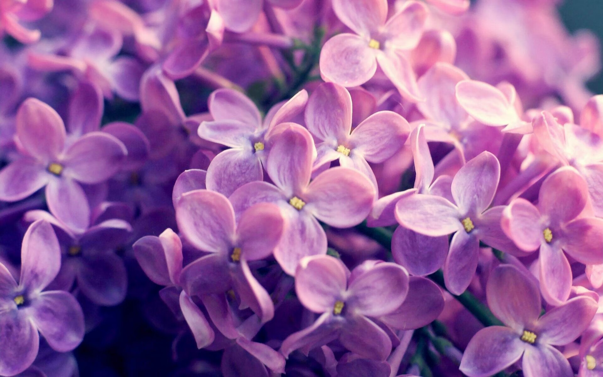 -霍特·巴雷特：全黑队进攻中的“节奏控制者”，每次传球都充满威胁